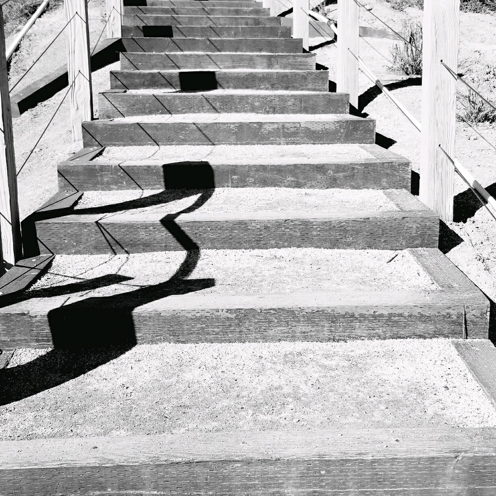 Meet your Posher, Ronald